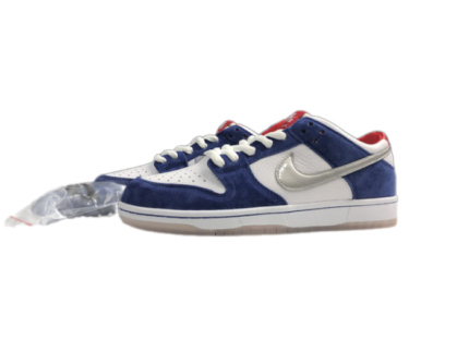 Nike Dunk SB Low Ishod Wair BMW 839685-416